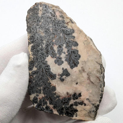 66g Native Silver Ore - Cobalt, Ontario, Canada - Silver, Cobaltite, and Pentlandite - Slab of Silver Ore - Silver Minerals