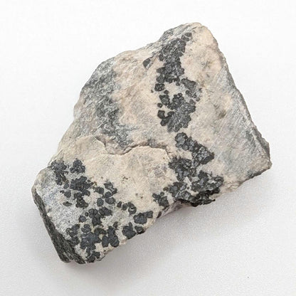 34g Native Silver Ore - Cobalt, Ontario, Canada - Silver, Cobaltite, and Pentlandite - Slab of Silver Ore - Silver Minerals
