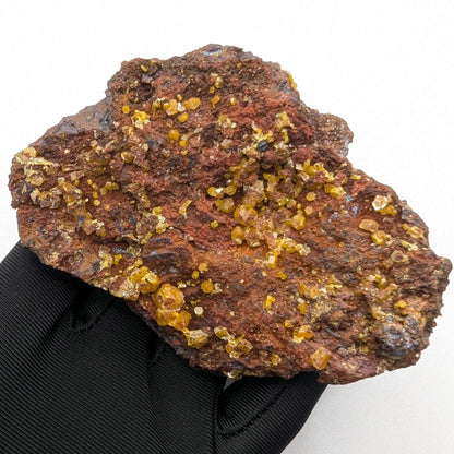 234g Mimetite Crystals on Matrix - Rare Mineral Specimens - Yellow Mimetite Crystal Specimen - Yanga Koubanza, Republic of Congo