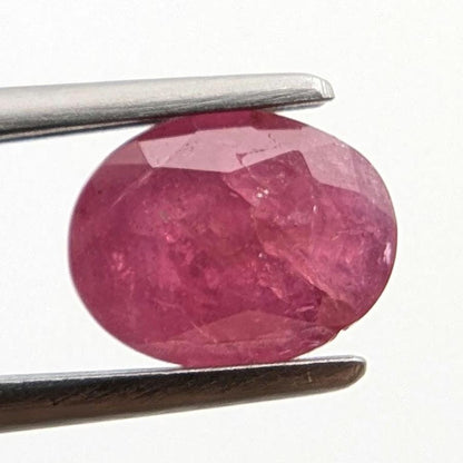 1.68 ct Unheated Ruby from Mozambique - Faceted Pinkish Red Ruby - Oval Ruby Gemstone - Natural Oval Cut Ruby