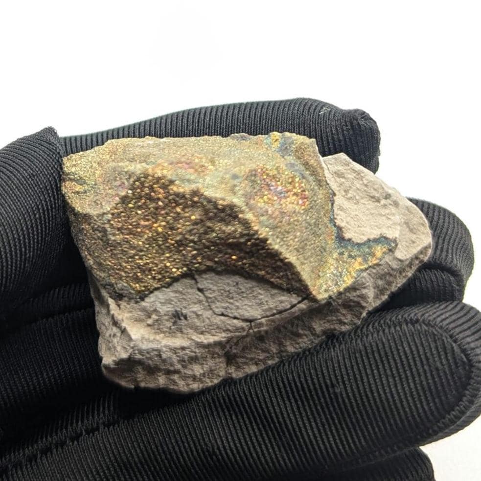 30g Iridescent Rainbow Pyrite on Sedimentary Concretion Matrix - Natural Rainbow Pyrite Crystal - Volga River, Ulyanovsk, Russia