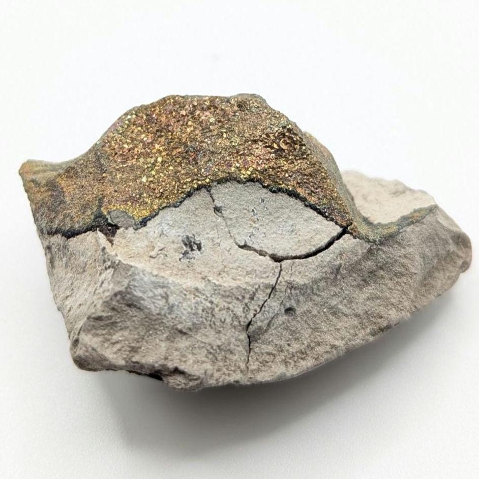 30g Iridescent Rainbow Pyrite on Sedimentary Concretion Matrix - Natural Rainbow Pyrite Crystal - Volga River, Ulyanovsk, Russia