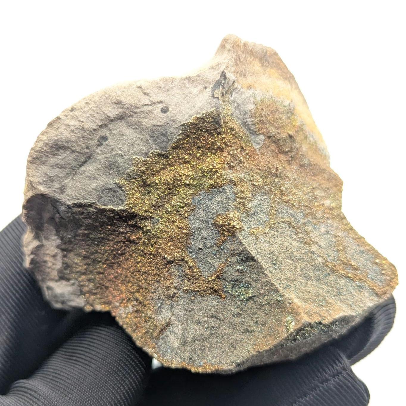 111g Iridescent Rainbow Pyrite on Sedimentary Concretion Matrix - Natural Rainbow Pyrite Crystal - Volga River, Ulyanovsk, Russia