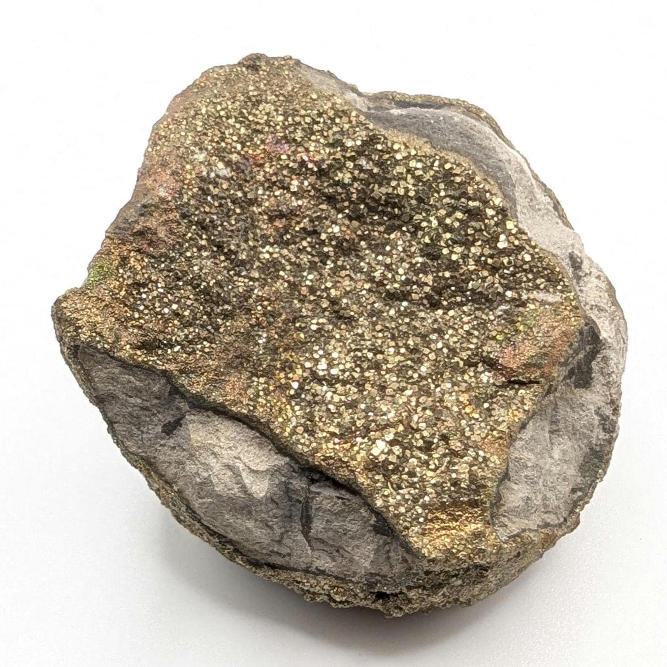 94g Golden Pyrite on Sedimentary Concretion Matrix - Natural Pyrite Mineral Specimen - Volga River, Ulyanovsk, Russia