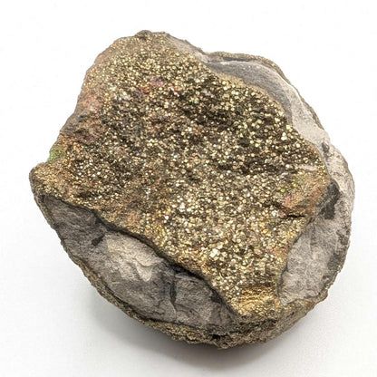 94g Golden Pyrite on Sedimentary Concretion Matrix - Natural Pyrite Mineral Specimen - Volga River, Ulyanovsk, Russia