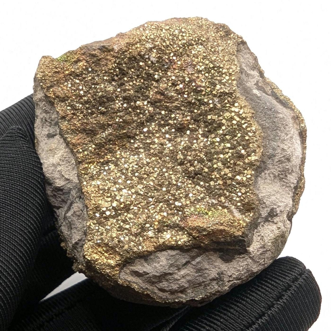 94g Golden Pyrite on Sedimentary Concretion Matrix - Natural Pyrite Mineral Specimen - Volga River, Ulyanovsk, Russia