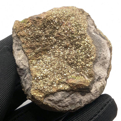 94g Golden Pyrite on Sedimentary Concretion Matrix - Natural Pyrite Mineral Specimen - Volga River, Ulyanovsk, Russia