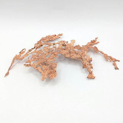25.70g Native Copper Branch Specimen - Keweenaw Peninsula, Michigan - Natural Copper Ore Crystal from Michigan, USA - Fine Minerals