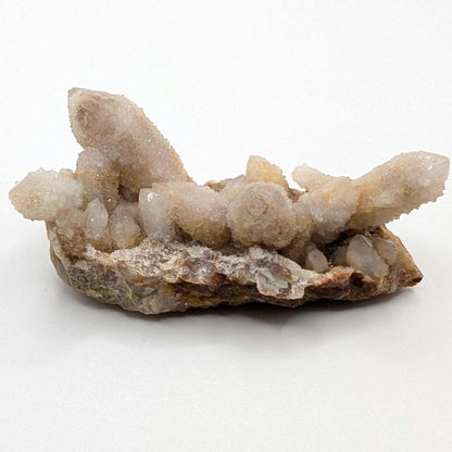 113g Spirit Quartz Cluster - Mpumalanga, South Africa - Natural Cactus Quartz Specimen - Spirit Quartz Crystals
