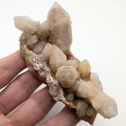 113g Spirit Quartz Cluster - Mpumalanga, South Africa - Natural Cactus Quartz Specimen - Spirit Quartz Crystals