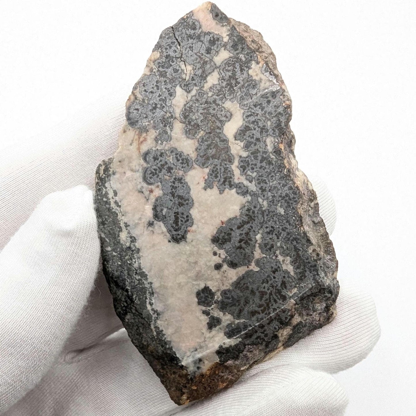 66g Native Silver Ore - Cobalt, Ontario, Canada - Silver, Cobaltite, and Pentlandite - Slab of Silver Ore - Silver Minerals