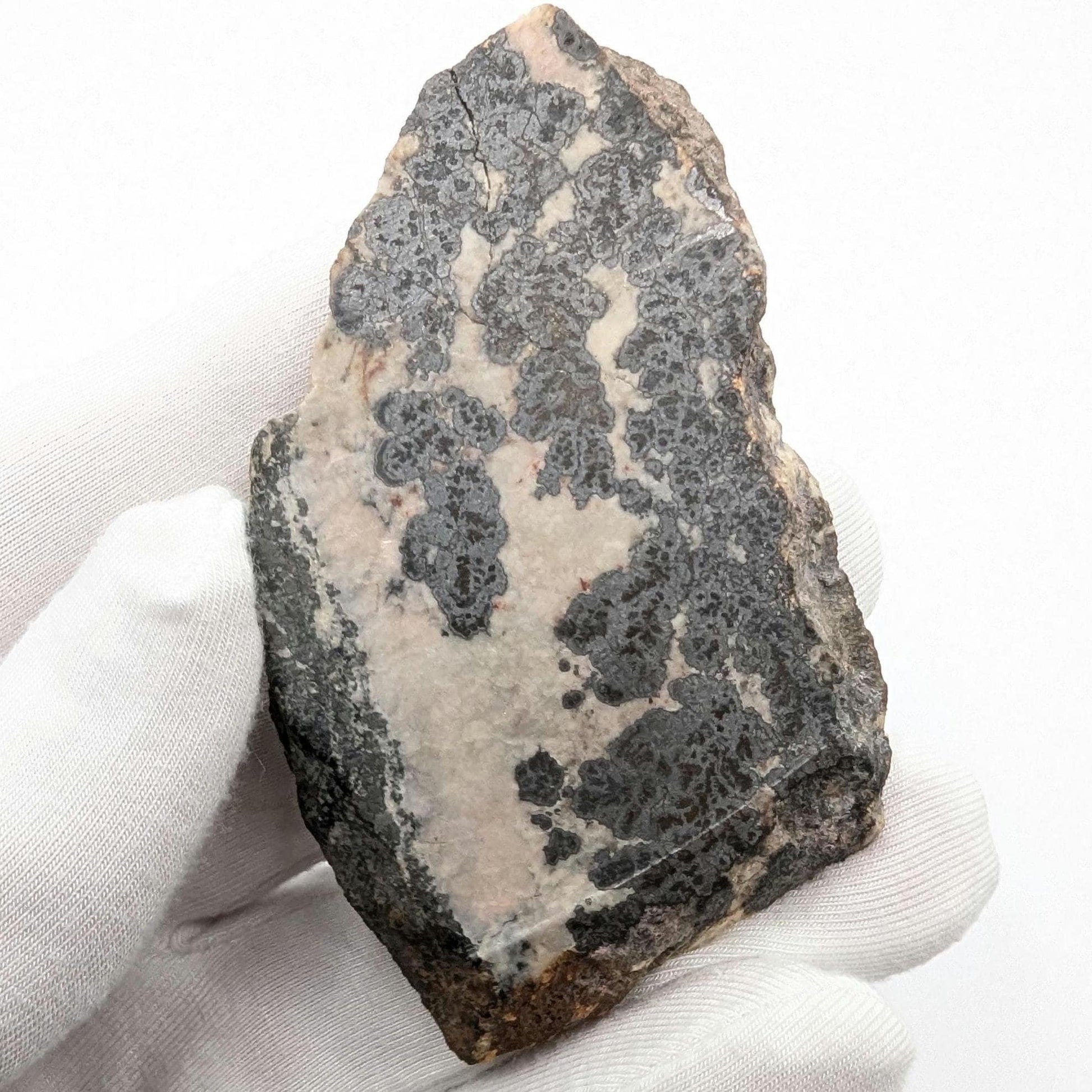 66g Native Silver Ore - Cobalt, Ontario, Canada - Silver, Cobaltite, and Pentlandite - Slab of Silver Ore - Silver Minerals