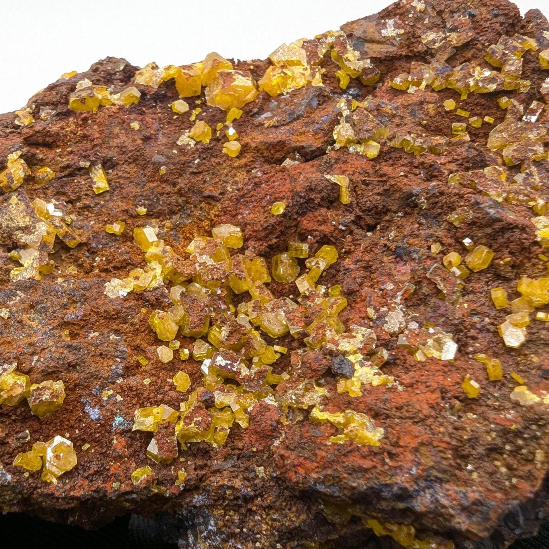 234g Mimetite Crystals on Matrix - Rare Mineral Specimens - Yellow Mimetite Crystal Specimen - Yanga Koubanza, Republic of Congo