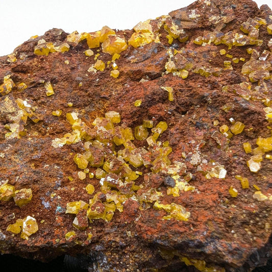 234g Mimetite Crystals on Matrix - Rare Mineral Specimens - Yellow Mimetite Crystal Specimen - Yanga Koubanza, Republic of Congo
