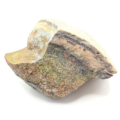 111g Iridescent Rainbow Pyrite on Sedimentary Concretion Matrix - Natural Rainbow Pyrite Crystal - Volga River, Ulyanovsk, Russia