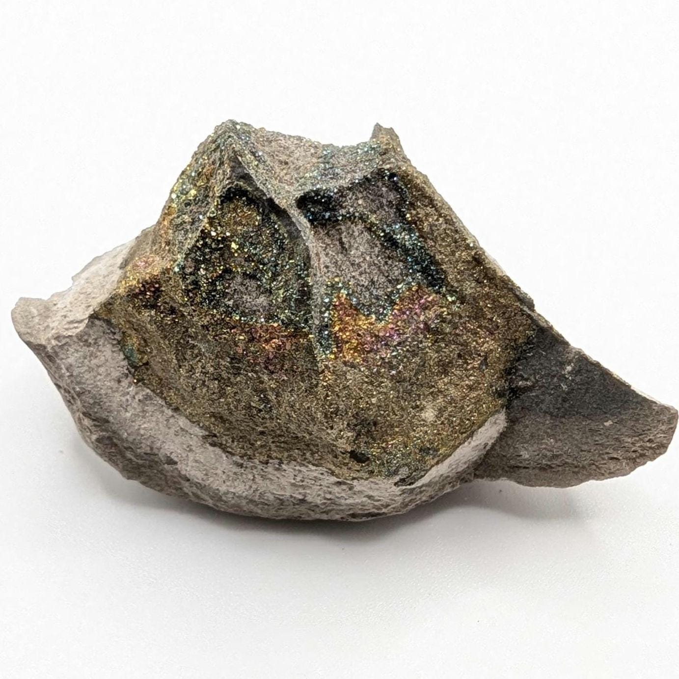 47g Iridescent Rainbow Pyrite on Sedimentary Concretion Matrix - Natural Rainbow Pyrite Crystal - Volga River, Ulyanovsk, Russia