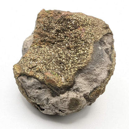94g Golden Pyrite on Sedimentary Concretion Matrix - Natural Pyrite Mineral Specimen - Volga River, Ulyanovsk, Russia