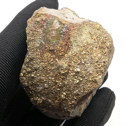 94g Golden Pyrite on Sedimentary Concretion Matrix - Natural Pyrite Mineral Specimen - Volga River, Ulyanovsk, Russia