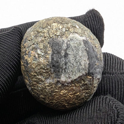34g Pyrite Nodule Concretion - Dunham, Quebec, Canada - Natural Pyrite Mineral Specimen - Thumbnail Specimens