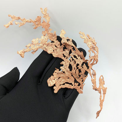 25.70g Native Copper Branch Specimen - Keweenaw Peninsula, Michigan - Natural Copper Ore Crystal from Michigan, USA - Fine Minerals