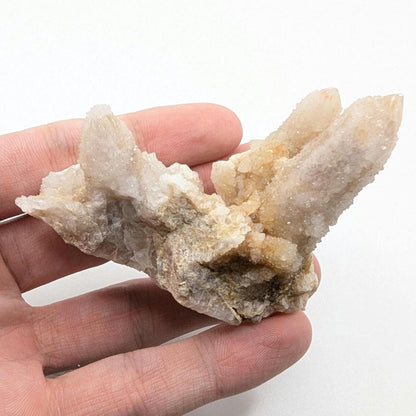 91g Spirit Quartz Cluster - Mpumalanga, South Africa - Natural Cactus Quartz Specimen - Spirit Quartz Crystals