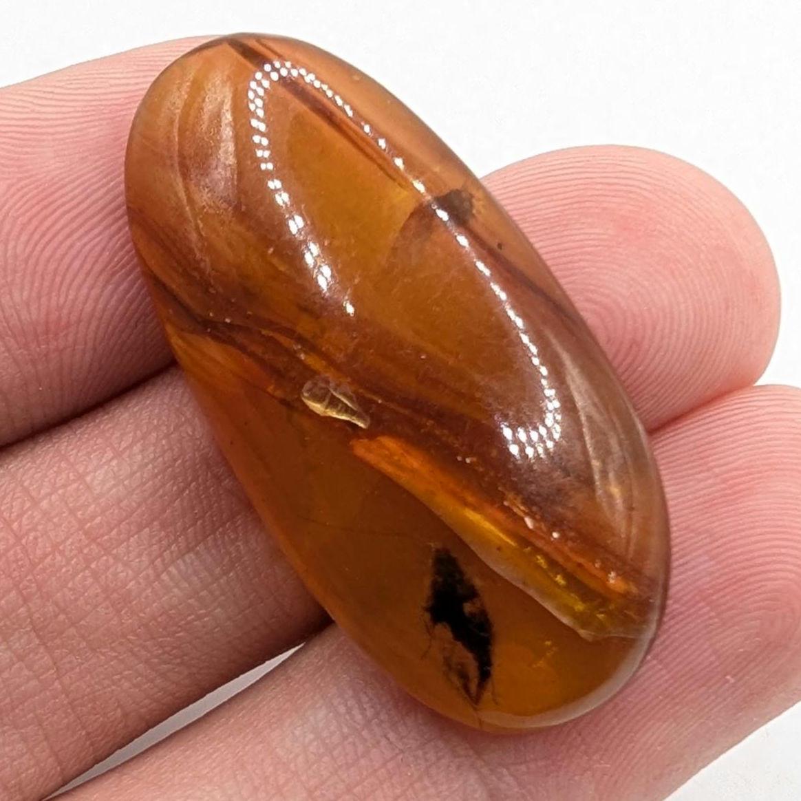 10.26ct Amber with Complete Insect - Polished Amber from Burma - Cretaceous Period Amber Organic Gems - Natural Amber Burmite Specimen