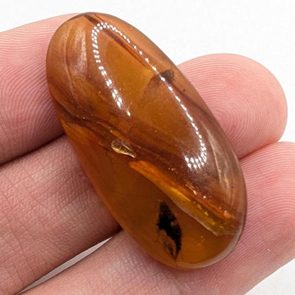 10.26ct Amber with Complete Insect - Polished Amber from Burma - Cretaceous Period Amber Organic Gems - Natural Amber Burmite Specimen
