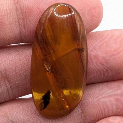 10.26ct Amber with Complete Insect - Polished Amber from Burma - Cretaceous Period Amber Organic Gems - Natural Amber Burmite Specimen