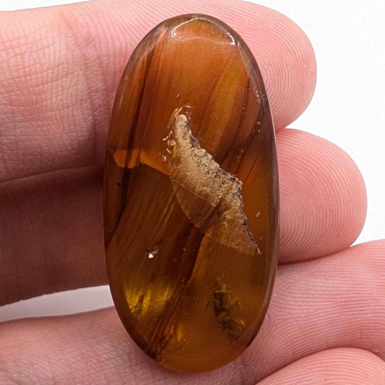 10.26ct Amber with Complete Insect - Polished Amber from Burma - Cretaceous Period Amber Organic Gems - Natural Amber Burmite Specimen