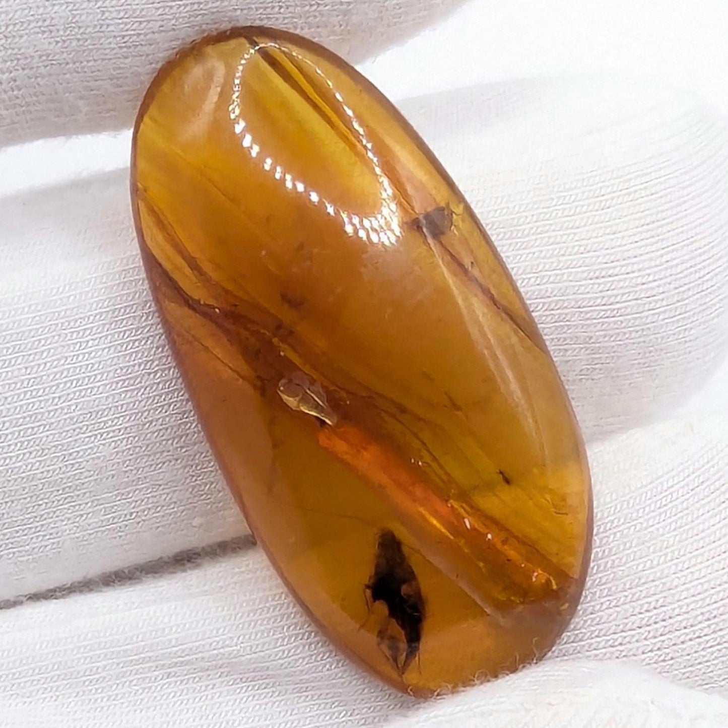 10.26ct Amber with Complete Insect - Polished Amber from Burma - Cretaceous Period Amber Organic Gems - Natural Amber Burmite Specimen