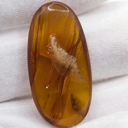 10.26ct Amber with Complete Insect - Polished Amber from Burma - Cretaceous Period Amber Organic Gems - Natural Amber Burmite Specimen