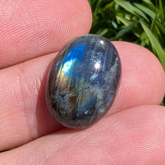 12.56 ct Canadian Labradorite - Old Collection Labradorite from Nain, Canada - Oval Shaped Cabochon - Blue Flash Labradorite - Rare Locality