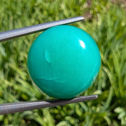 9.67 ct Apple Green Chrysoprase - Round Cabochon - Chrysoprase from Marlborough, Queensland, Australia - Natural Untreated Chrysoprase
