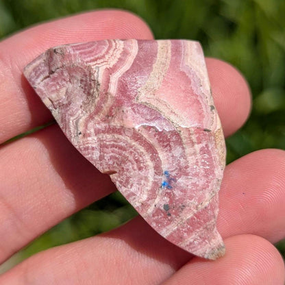 67 ct Polished Rhodochrosite Slab - Two Sides Polished Pink Rhodochrosite - Capillitas Mine, Andalgalá, Catamarca, Argentina - Raw Edge Slab