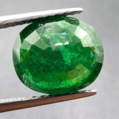 2.99 ct Green Tsavorite Garnet, Oval Cut, Tanzania