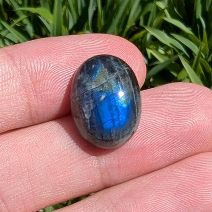 12.56 ct Canadian Labradorite - Old Collection Labradorite from Nain, Canada - Oval Shaped Cabochon - Blue Flash Labradorite - Rare Locality