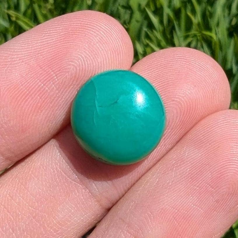 9.67 ct Apple Green Chrysoprase - Round Cabochon - Chrysoprase from Marlborough, Queensland, Australia - Natural Untreated Chrysoprase