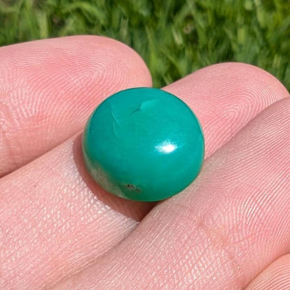 9.67 ct Apple Green Chrysoprase - Round Cabochon - Chrysoprase from Marlborough, Queensland, Australia - Natural Untreated Chrysoprase