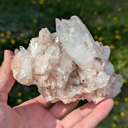 848g Natural Pink Quartz - Lithium Coated Quartz Crystal - Bolivar, Colombia - Pink Quartz Cluster - Crystallized Lemurian Quartz Specimen