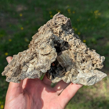 915g Brown Tremolite Mineral Specimen - Cardiff, Ontario, Canada - Natural Tremolite Specimen - Large Crystals - Canadian Minerals