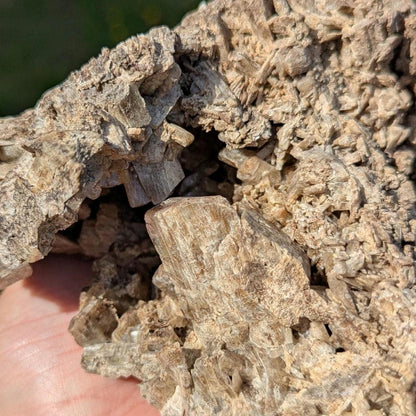 915g Brown Tremolite Mineral Specimen - Cardiff, Ontario, Canada - Natural Tremolite Specimen - Large Crystals - Canadian Minerals