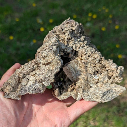 915g Brown Tremolite Mineral Specimen - Cardiff, Ontario, Canada - Natural Tremolite Specimen - Large Crystals - Canadian Minerals