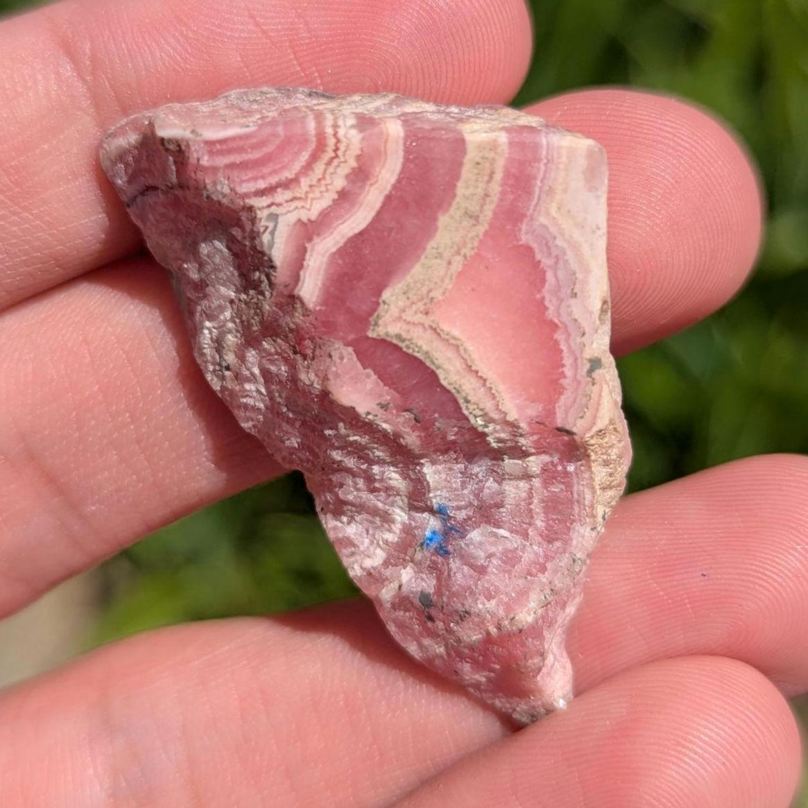 67 ct Polished Rhodochrosite Slab - Two Sides Polished Pink Rhodochrosite - Capillitas Mine, Andalgalá, Catamarca, Argentina - Raw Edge Slab