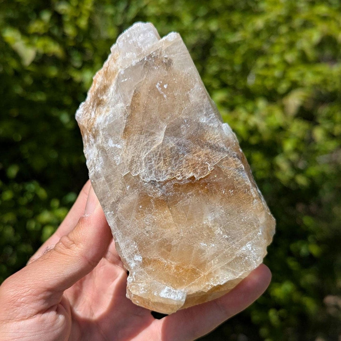 441g Golden Yellow Calcite - Honey Calcite Crystal from Chihuahua, Mexico - Natural Yellow Calcite - Crystal Specimen for Home Decor