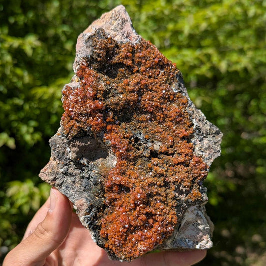 1.20 kg XL Vanadinite on Matrix - Mibladen, Morocco - Handpicked at Mine - Natural Vanadinite Specimen - Sparkling Red Vanadinite Mineral