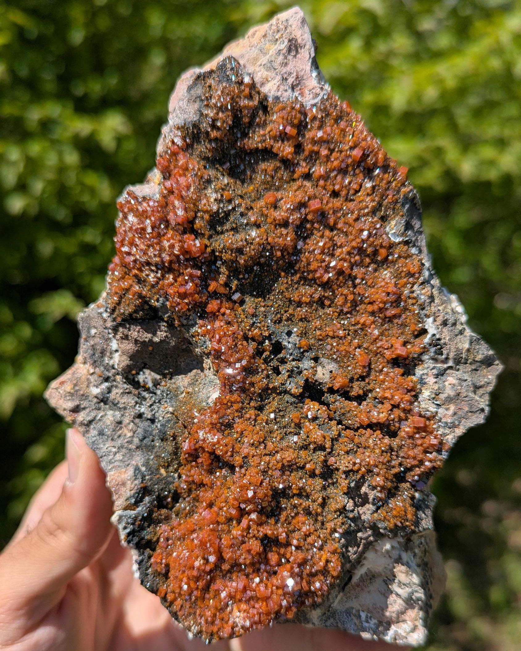 1.20 kg XL Vanadinite on Matrix - Mibladen, Morocco - Handpicked at Mine - Natural Vanadinite Specimen - Sparkling Red Vanadinite Mineral