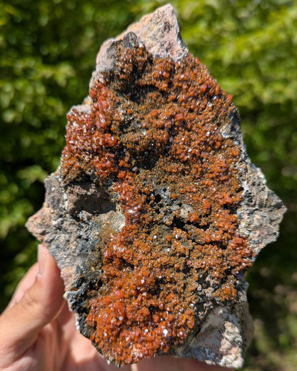 1.20 kg XL Vanadinite on Matrix - Mibladen, Morocco - Handpicked at Mine - Natural Vanadinite Specimen - Sparkling Red Vanadinite Mineral