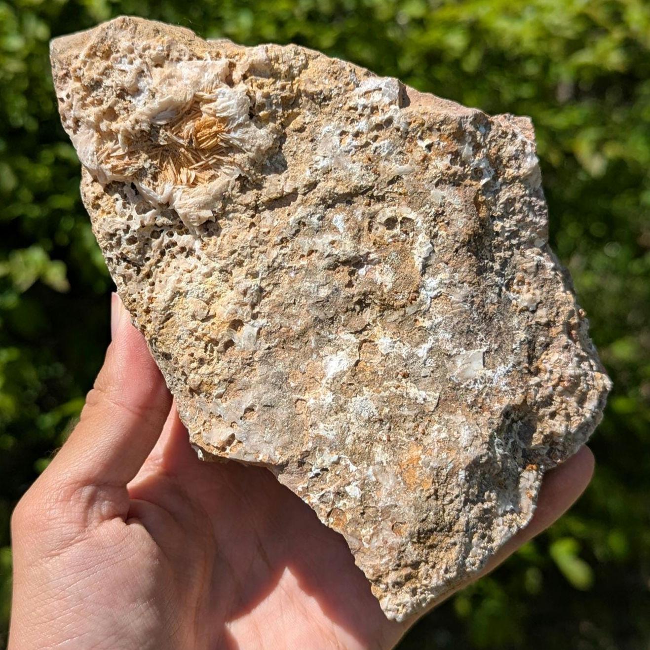 1.20 kg XL Vanadinite on Matrix - Mibladen, Morocco - Handpicked at Mine - Natural Vanadinite Specimen - Sparkling Red Vanadinite Mineral