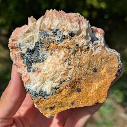 596g Orange Barite on Galena Matrix - Mibladen, Morocco - Natural Mineral Specimens - Raw Barite Blades on Matrix - Rough Minerals
