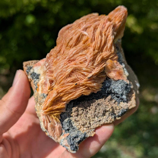 520g Orange Barite on Galena Matrix - Mibladen, Morocco - Natural Mineral Specimens - Raw Barite Blades on Matrix - Rough Minerals